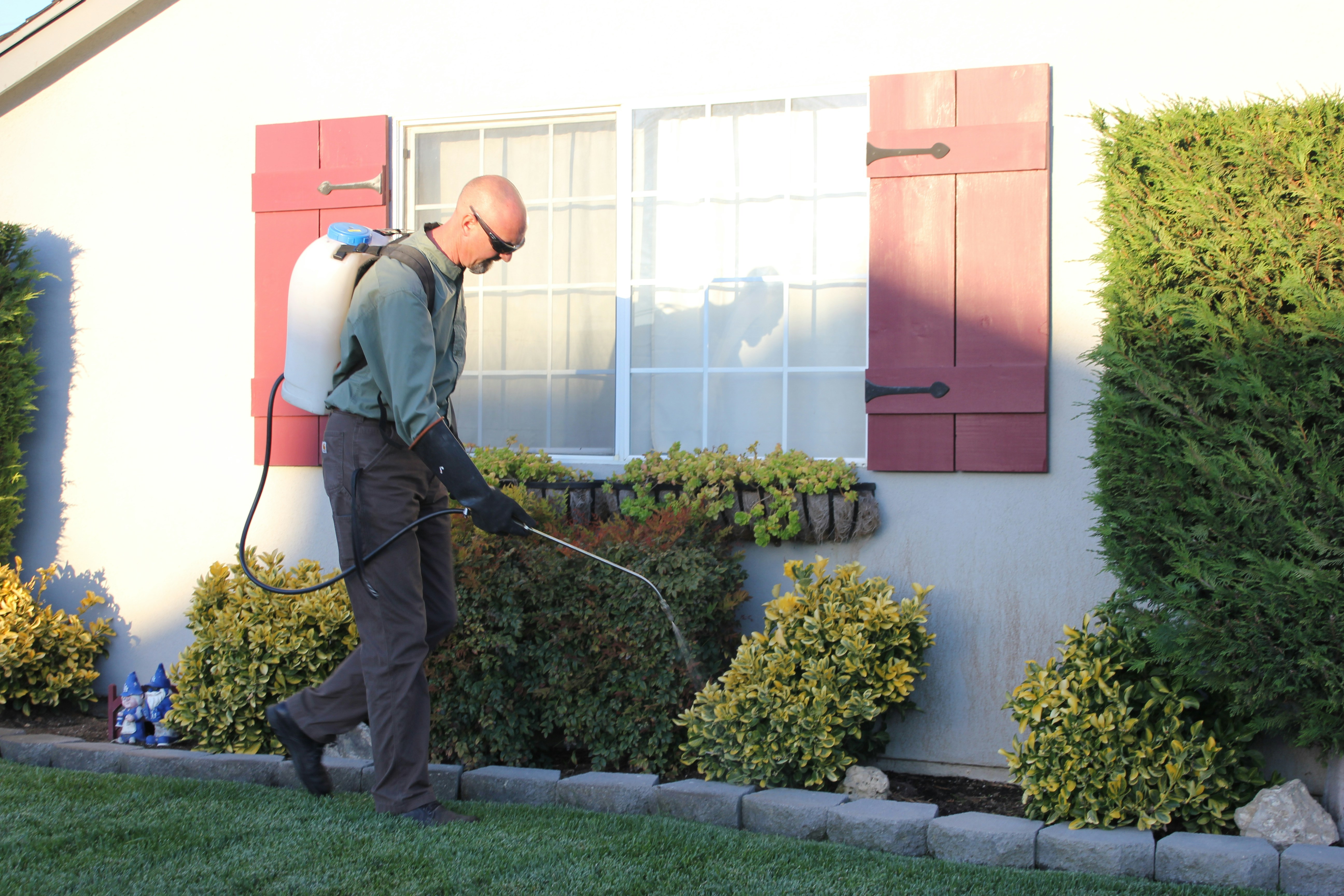 Pest control technician applying treatment at residential property